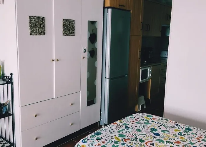 公寓 Vv Casafaromar Oceanfront Air Conditioning 莫罗德哈布雷